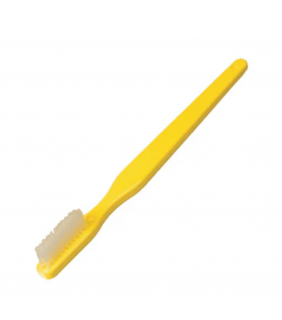 Anatomical Chart Company Giant Toothbrush