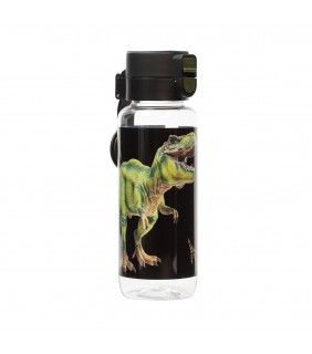 Water Bottle 650ml - Dinosaur Discovery