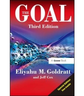 The Goal: A Process of Ongoing Improvement