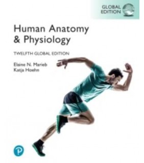 ebook - Human Anatomy & Physiology 12E, Global Edition