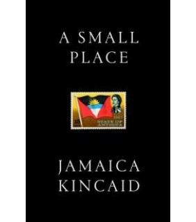 Daunt Books ebook A Small Place