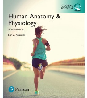 Pearson Education ebook Human Anatomy & Physiology 2E
