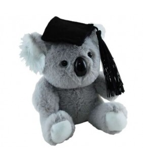 Graduation Koala (11cm)