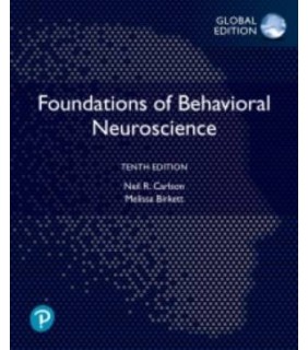 Pearson Education ebook Foundations of Behavioral Neuroscience, eBook, Global