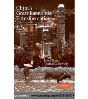 China's Great Economic Transformation - EBOOK
