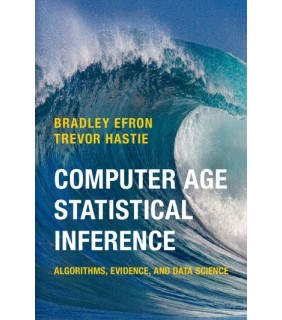 Computer Age Statistical Inference - EBOOK