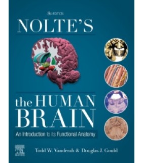 Elsevier ebook Nolte’s The Human Brain