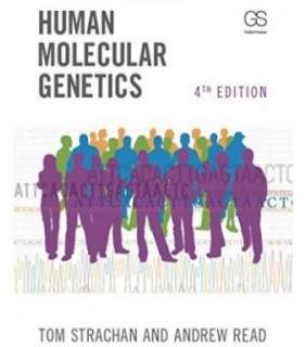 Human Molecular Genetics - EBOOK