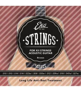 EKO 12 strings Acoustic set