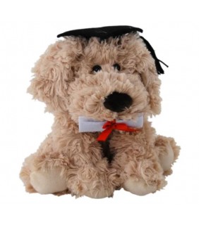 Max The Graduation Dog (23cm)