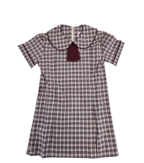 Dress Maroon/Navy Check