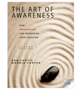Redleaf Press ebook The Art of Awareness, Second Edition