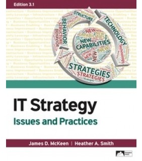 Prospect Press ebook IT Strategy: Issues and Practice, Edition 3.1