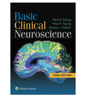 Wolters Kluwer Health ebook Basic Clinical Neuroscience