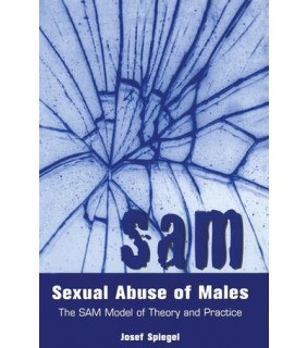 Routledge ebook Sexual Abuse of Males