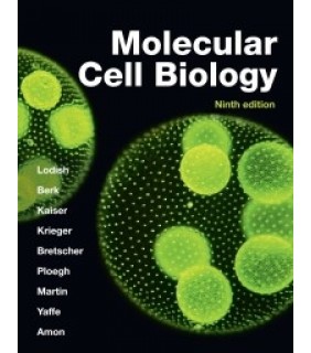 Worth ebook Molecular Cell Biology 9E