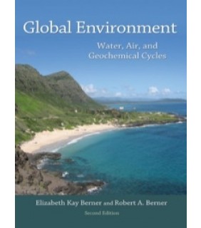 Princeton University Press ebook Global Environment