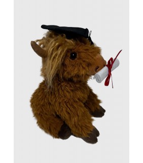Elka Australia Highland Cow Angus Graduation