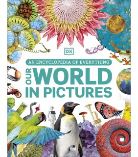Dorling Kindersley Our World in Pictures An Encyclopedia of Everything
