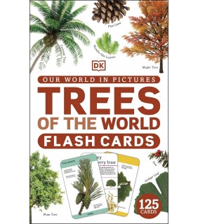 Dorling Kindersley Our World in Pictures Trees of the World Flash Cards