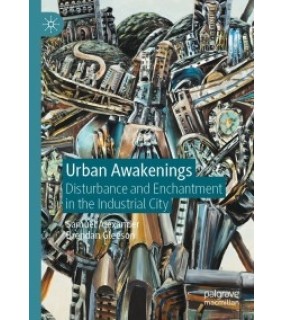 Springer ebook Urban Awakenings