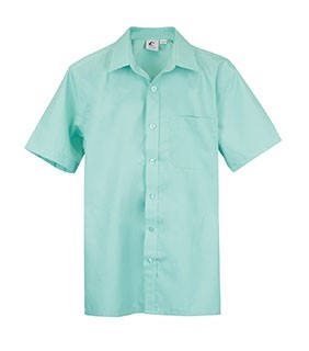 Boys Shirt Short Sleeve Green