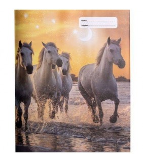 Spencil Exercise Book Cover - Cosmic Canter 1