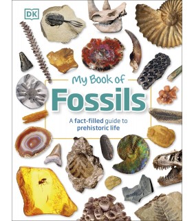 Dorling Kindersley My Book of Fossils: A fact-filled guide to prehistoric life