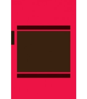 Springer ebook Dynamic Assessment: A Vygotskian Approach to Understan