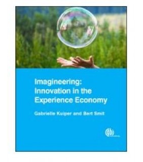 RENTAL 1 YR Imagineering: Innovation in the Experience - EBOOK