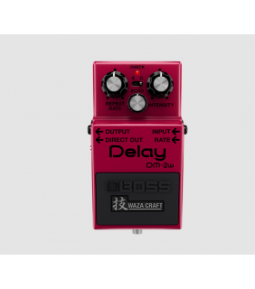 Boss Delay Pedal