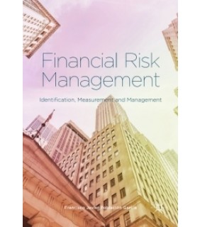 Palgrave Macmillan ebook Financial Risk Management: Identification, Measurement