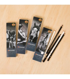 Micador Charcoal Pencils - White Micador For Artists