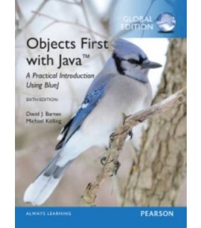 Pearson Education ebook Objects First with Java 6E: A Practical Introduction U
