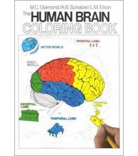 The Human Brain Coloring Book