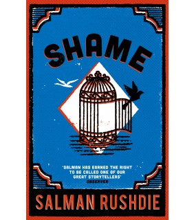 Penguin Random House Australia Shame (Vintage Classic)