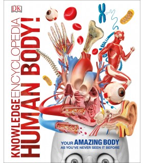 Dorling Kindersley Knowledge Encyclopedia Human Body!