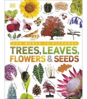 Dorling Kindersley Our World in Pictures: Trees, Leaves, Flowers & Seeds