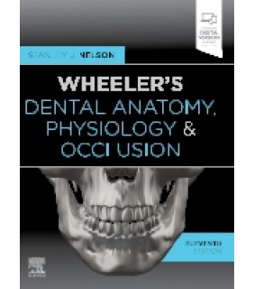 200 Wheeler's Dental Anatomy, Physiology and Occlusion