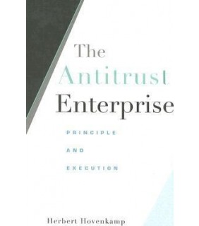 Antitrust Enterprise: Principle and Execution
