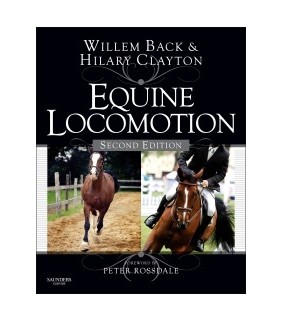Equine Locomotion