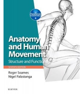 Anatomy And Human Movement