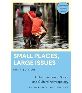 Pluto Press ebook Small Places, Large Issues 5E