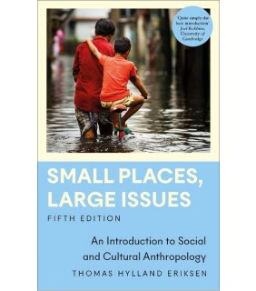 Pluto Press Small Places, Large Issues 5E: An Introduction to Social and