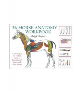 Horse Anatomy Workbook : A Learning Aid for Students Based on Peter Goody's Classic Work, Horse Anatomy