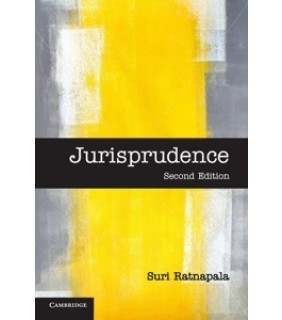 Jurisprudence - eBook