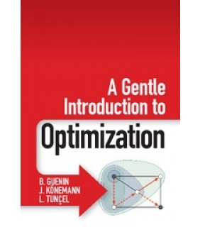 Cambridge University Press A Gentle Introduction to Optimization