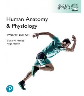 SPECIAL ORDER - Pearson Education Human Anatomy & Physiology 12E, Global Edition