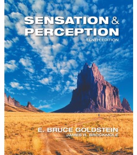 Cengage Learning Sensation and Perception