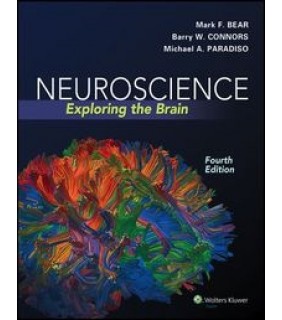 Neuroscience: Exploring the Brain - eBook